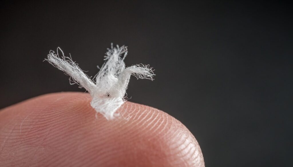 指先で触れる紐