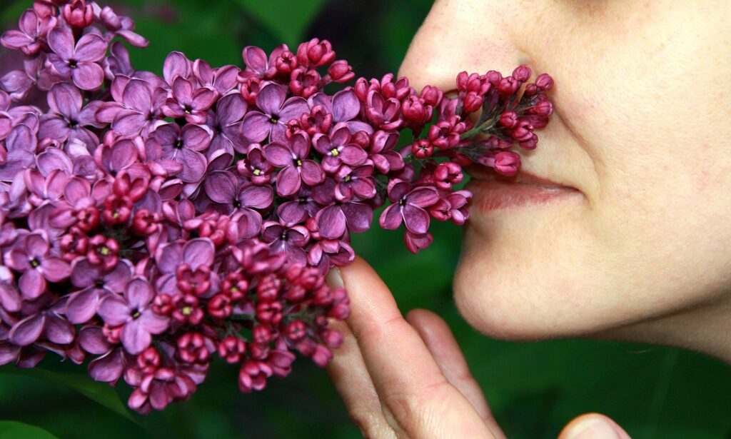 花のにおいを嗅ぐ女性