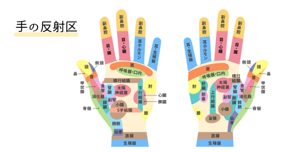 手の反射区