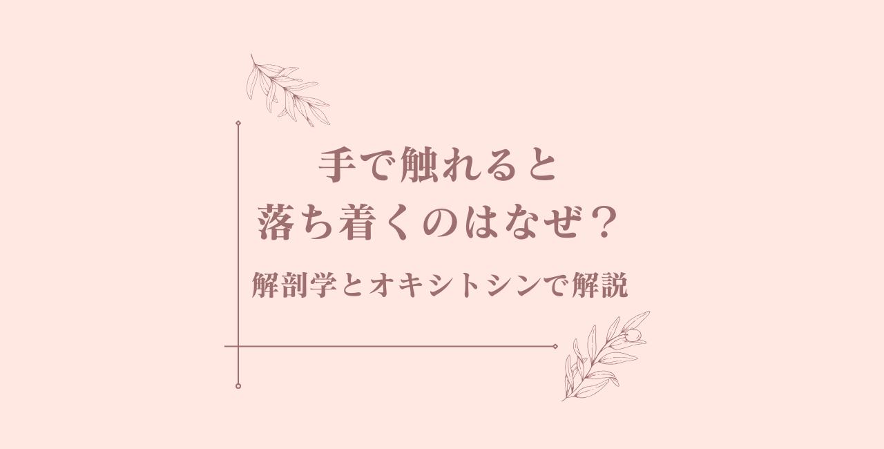 手で触れると落ち着くのはなぜ？解剖学とオキシトシンで解説のタイトル画像